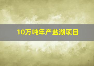 10万吨年产盐湖项目