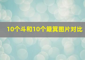 10个斗和10个簸箕图片对比