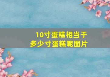 10寸蛋糕相当于多少寸蛋糕呢图片