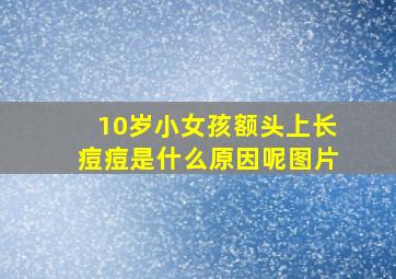 10岁小女孩额头上长痘痘是什么原因呢图片