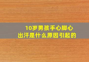 10岁男孩手心脚心出汗是什么原因引起的