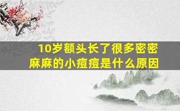 10岁额头长了很多密密麻麻的小痘痘是什么原因