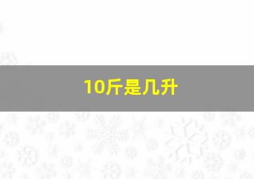 10斤是几升