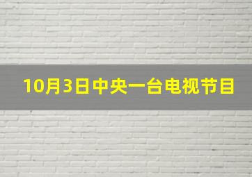 10月3日中央一台电视节目