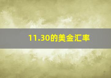 11.30的美金汇率