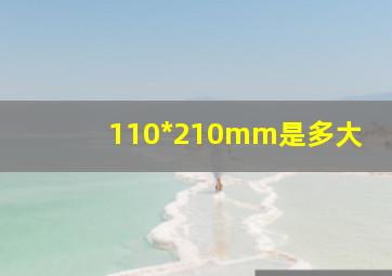 110*210mm是多大