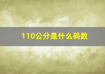 110公分是什么码数