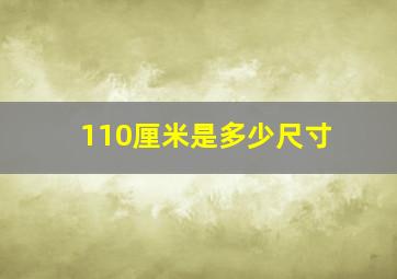 110厘米是多少尺寸