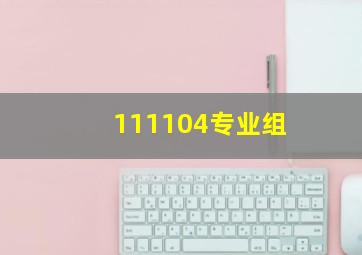 111104专业组