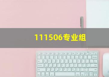 111506专业组