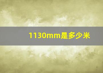 1130mm是多少米