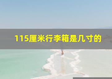 115厘米行李箱是几寸的