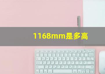 1168mm是多高