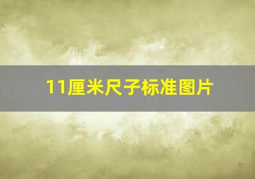 11厘米尺子标准图片