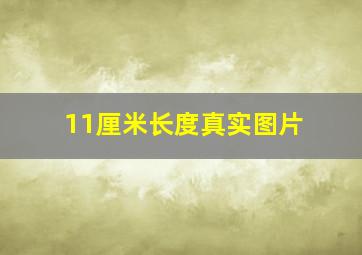 11厘米长度真实图片