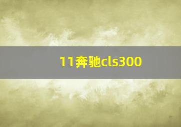 11奔驰cls300