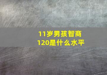 11岁男孩智商120是什么水平