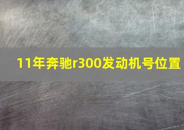 11年奔驰r300发动机号位置