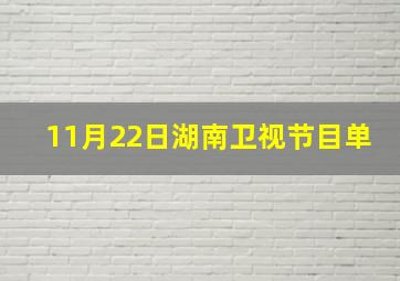 11月22日湖南卫视节目单