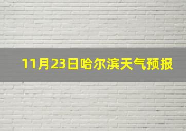 11月23日哈尔滨天气预报