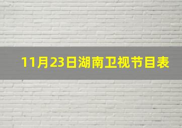 11月23日湖南卫视节目表