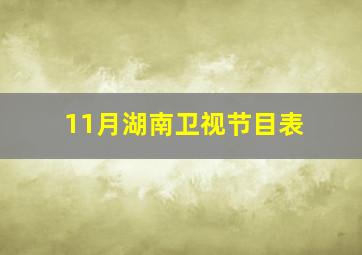 11月湖南卫视节目表