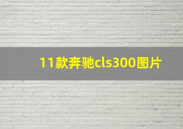 11款奔驰cls300图片