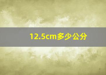 12.5cm多少公分