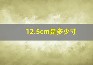 12.5cm是多少寸