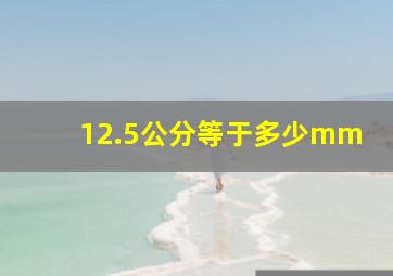 12.5公分等于多少mm