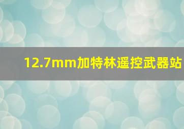 12.7mm加特林遥控武器站