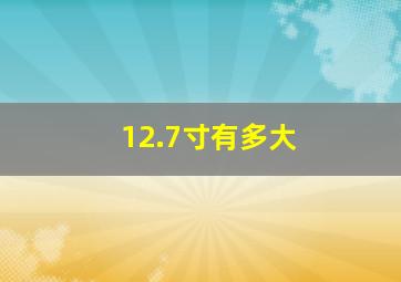 12.7寸有多大