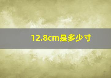 12.8cm是多少寸