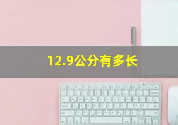 12.9公分有多长