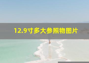 12.9寸多大参照物图片