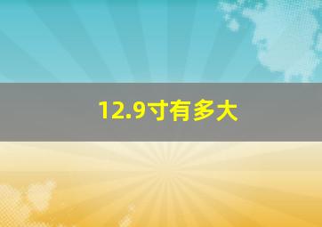 12.9寸有多大