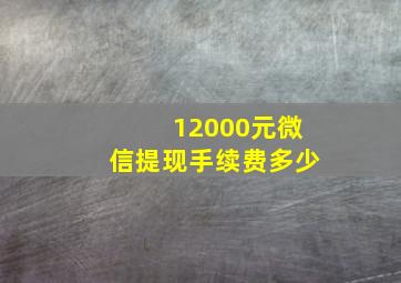 12000元微信提现手续费多少