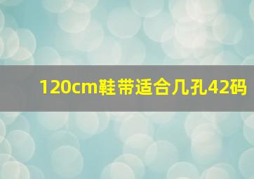 120cm鞋带适合几孔42码