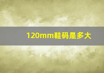 120mm鞋码是多大