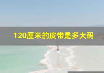 120厘米的皮带是多大码