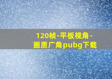 120帧-平板视角-画质广角pubg下载