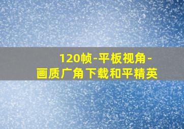 120帧-平板视角-画质广角下载和平精英