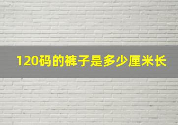 120码的裤子是多少厘米长