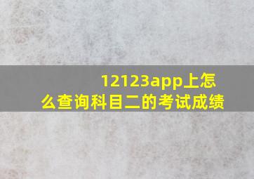 12123app上怎么查询科目二的考试成绩