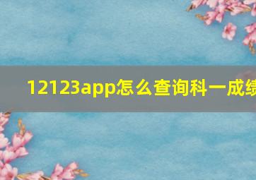 12123app怎么查询科一成绩