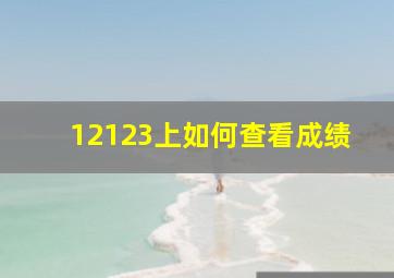 12123上如何查看成绩