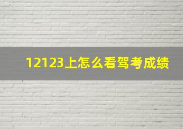 12123上怎么看驾考成绩