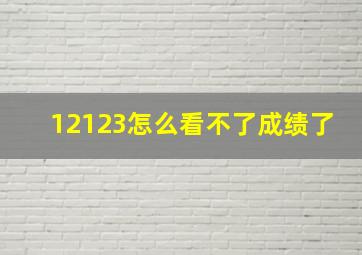 12123怎么看不了成绩了