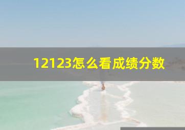 12123怎么看成绩分数