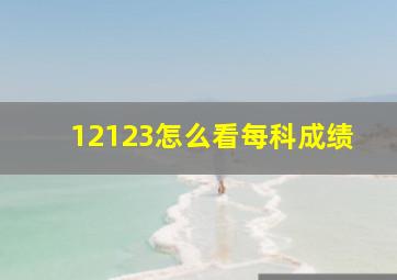 12123怎么看每科成绩